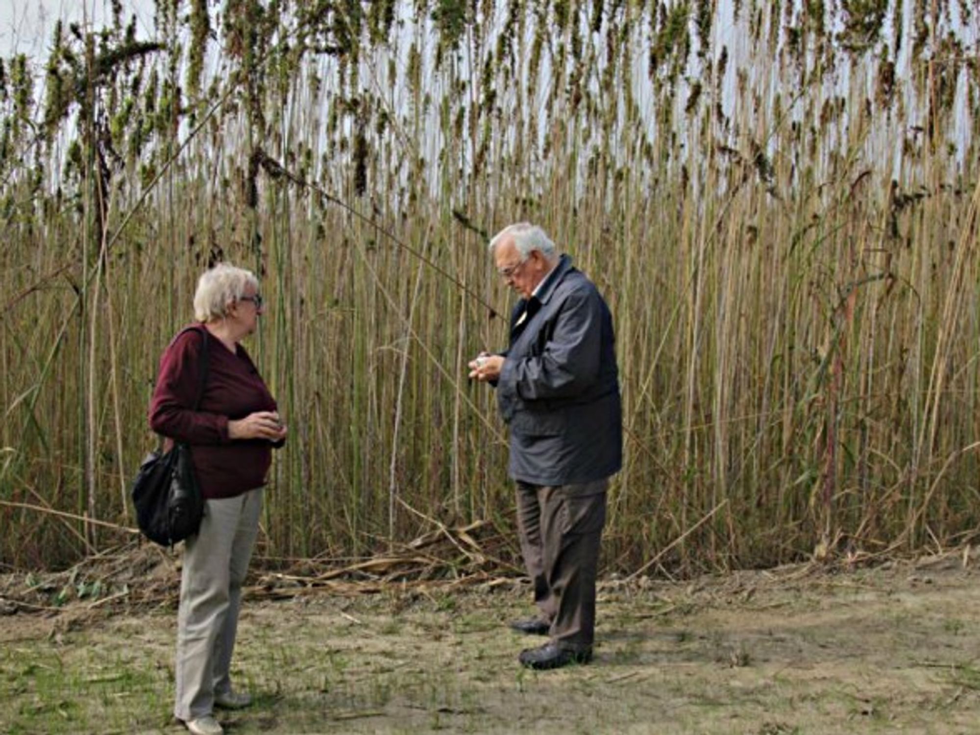 Founders of AssoCanapa, Margherita Baravalle and Felice Giraudo.