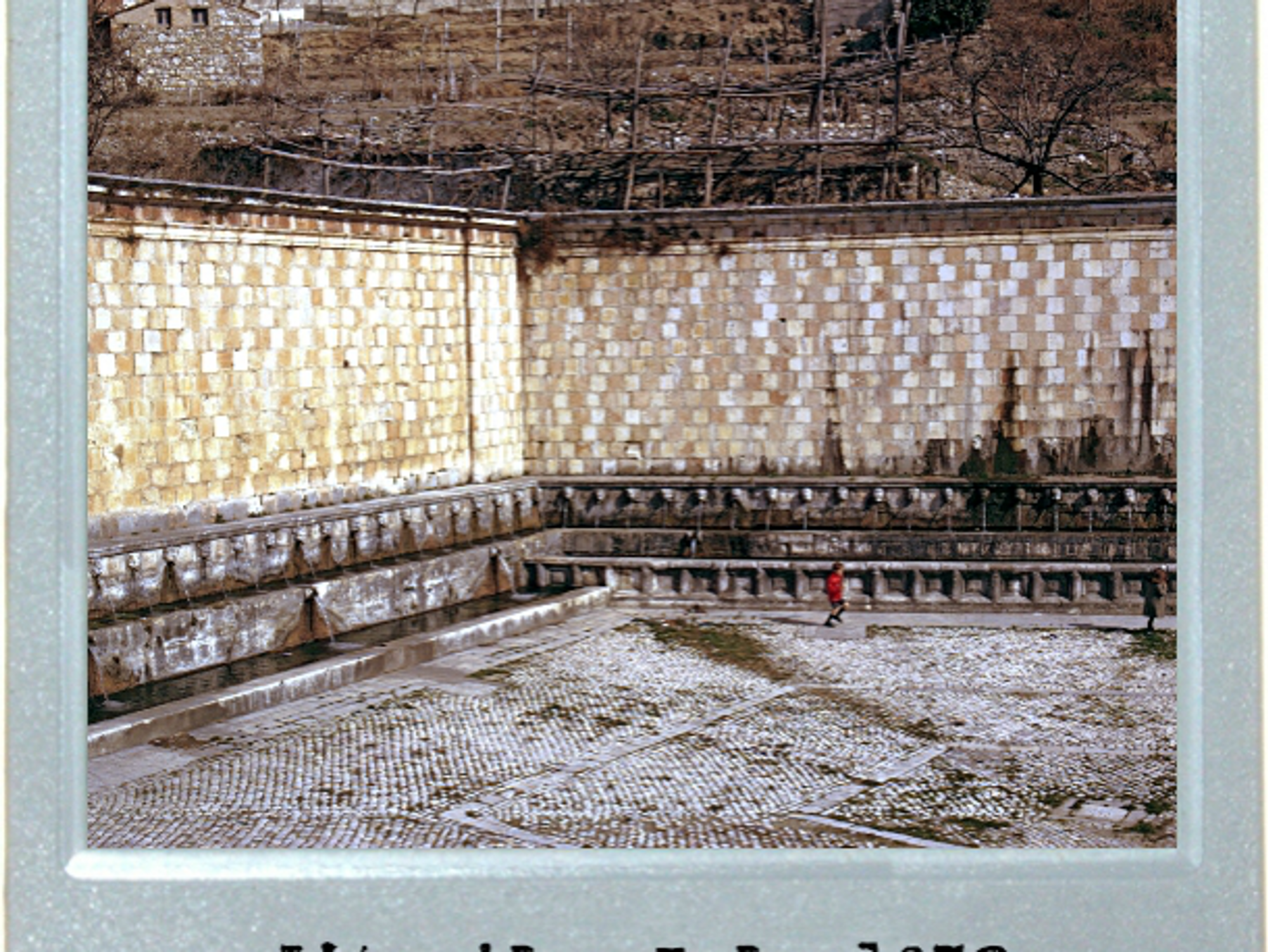 Fountain Of Youth