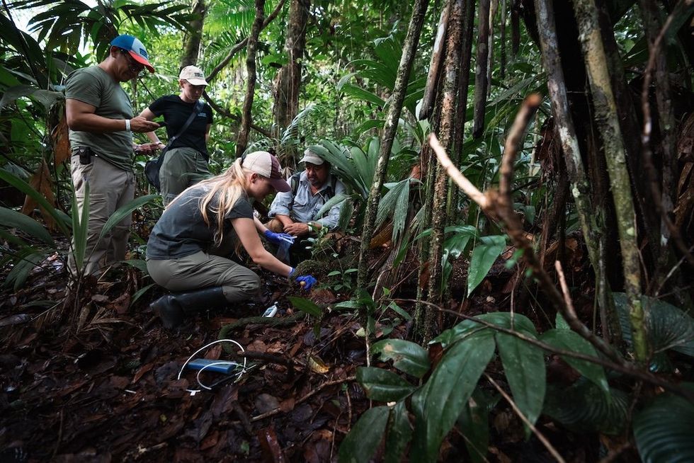 Four scientists wearing outdoors gear stand in the jungle in Costa Rica
