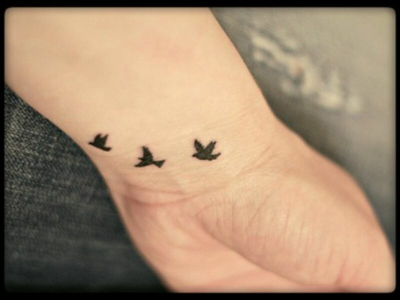 Free (and jobless) as a bird?