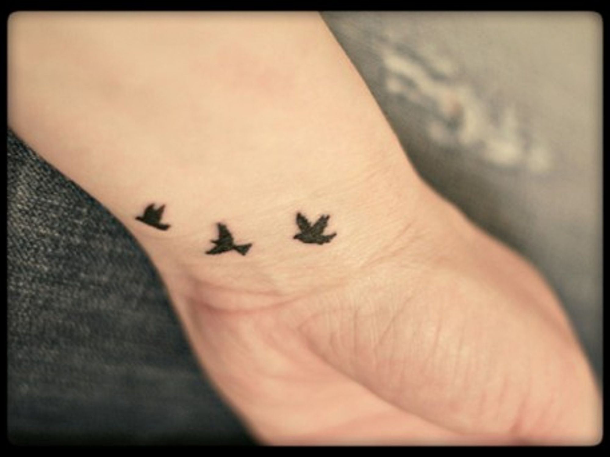 Free (and jobless) as a bird?