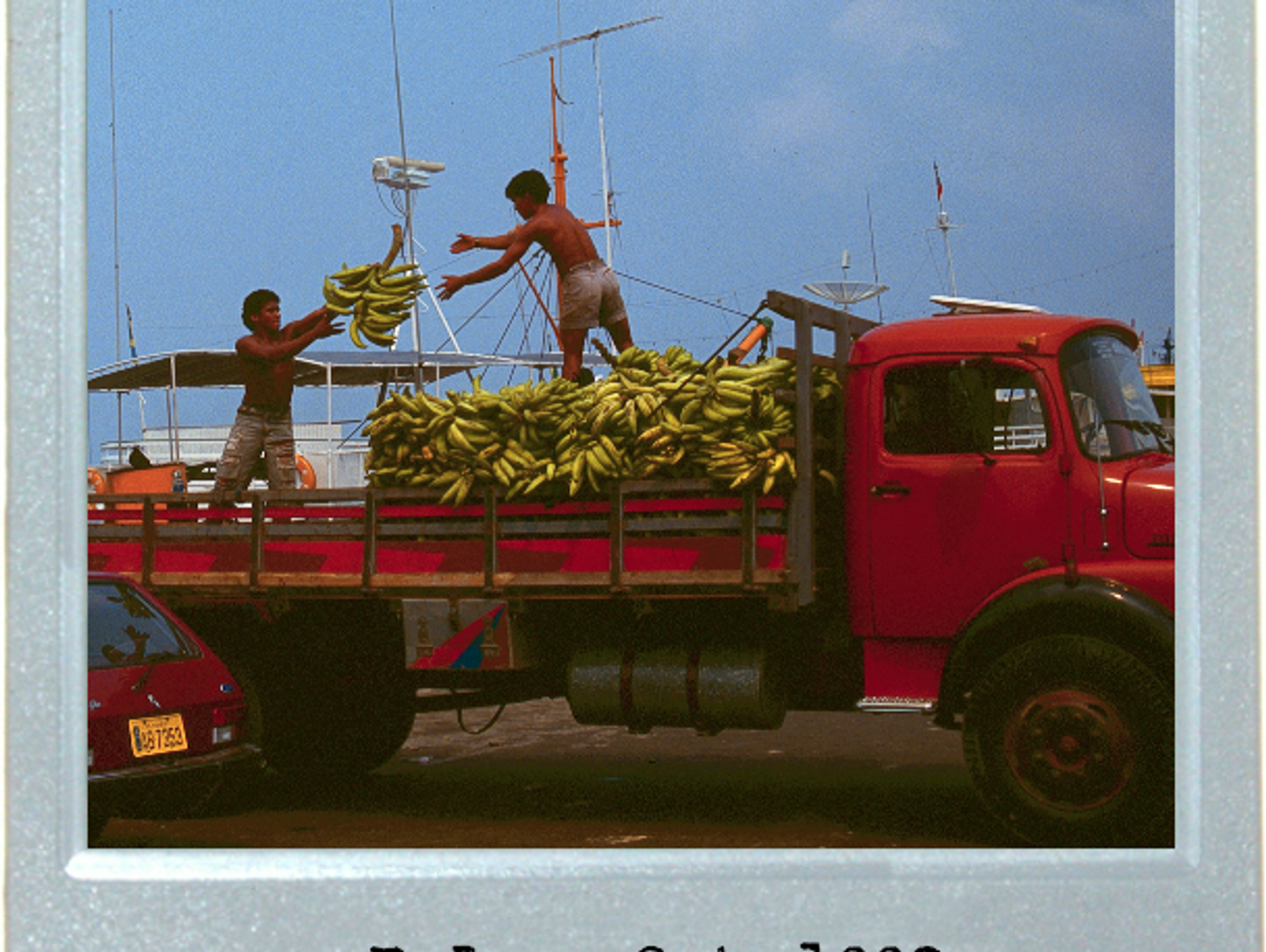 Fruits Of Labor