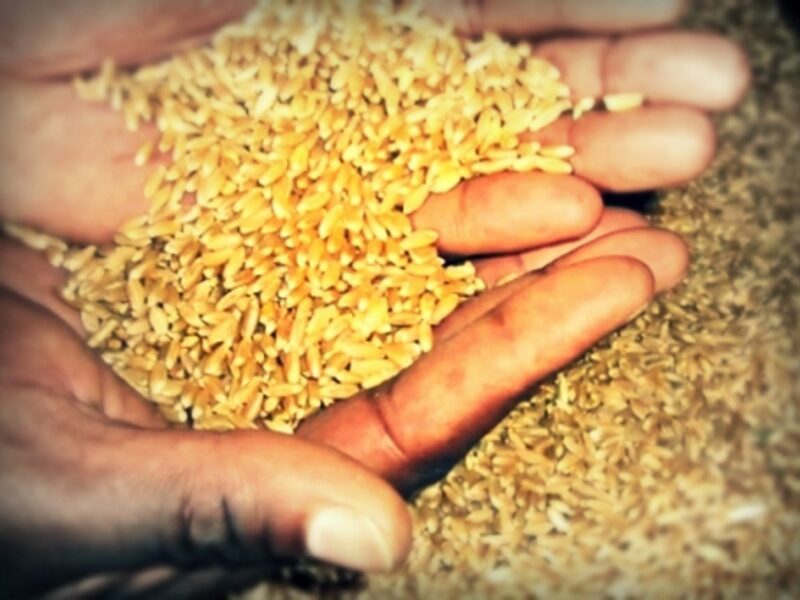 Future Ethiopian pasta