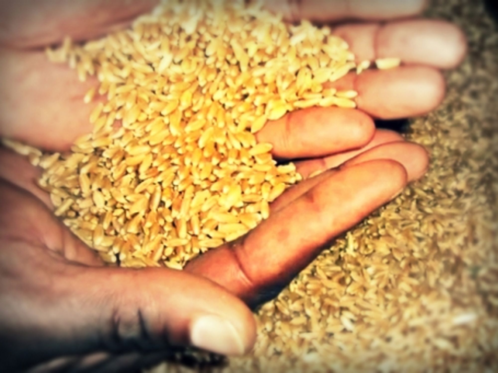 Future Ethiopian pasta
