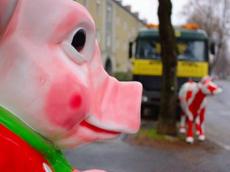 Germany's language police prefer cows to pigs