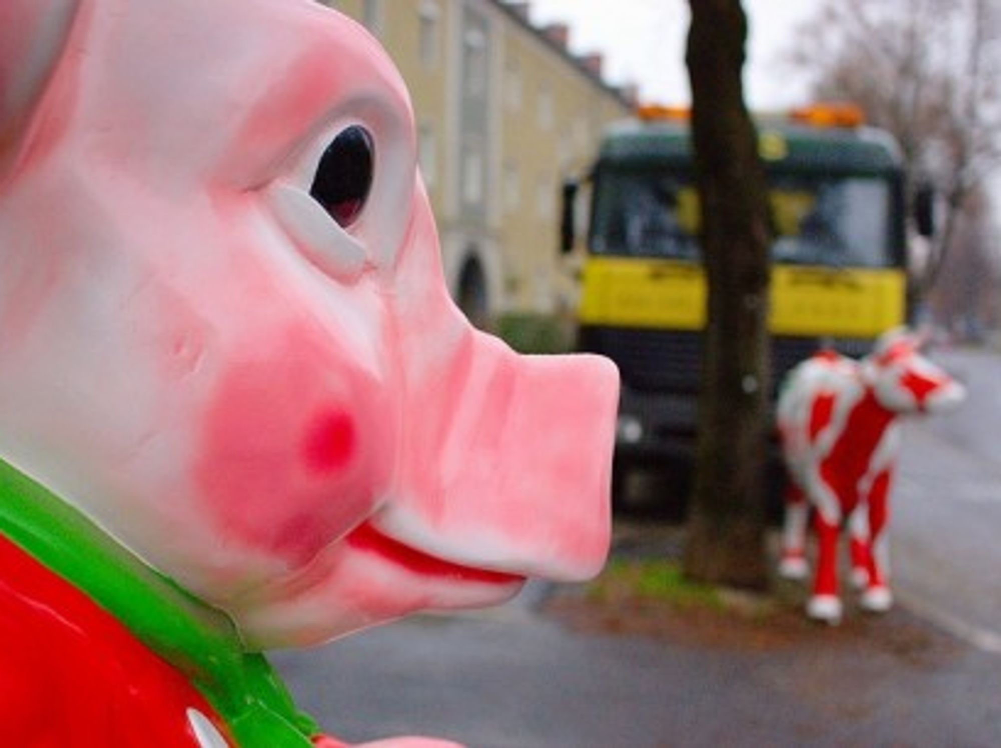 Germany's language police prefer cows to pigs