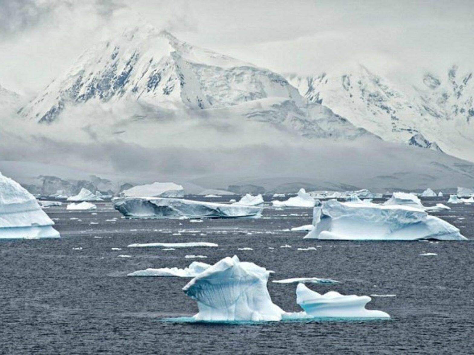 Glaciers in The Antarctica