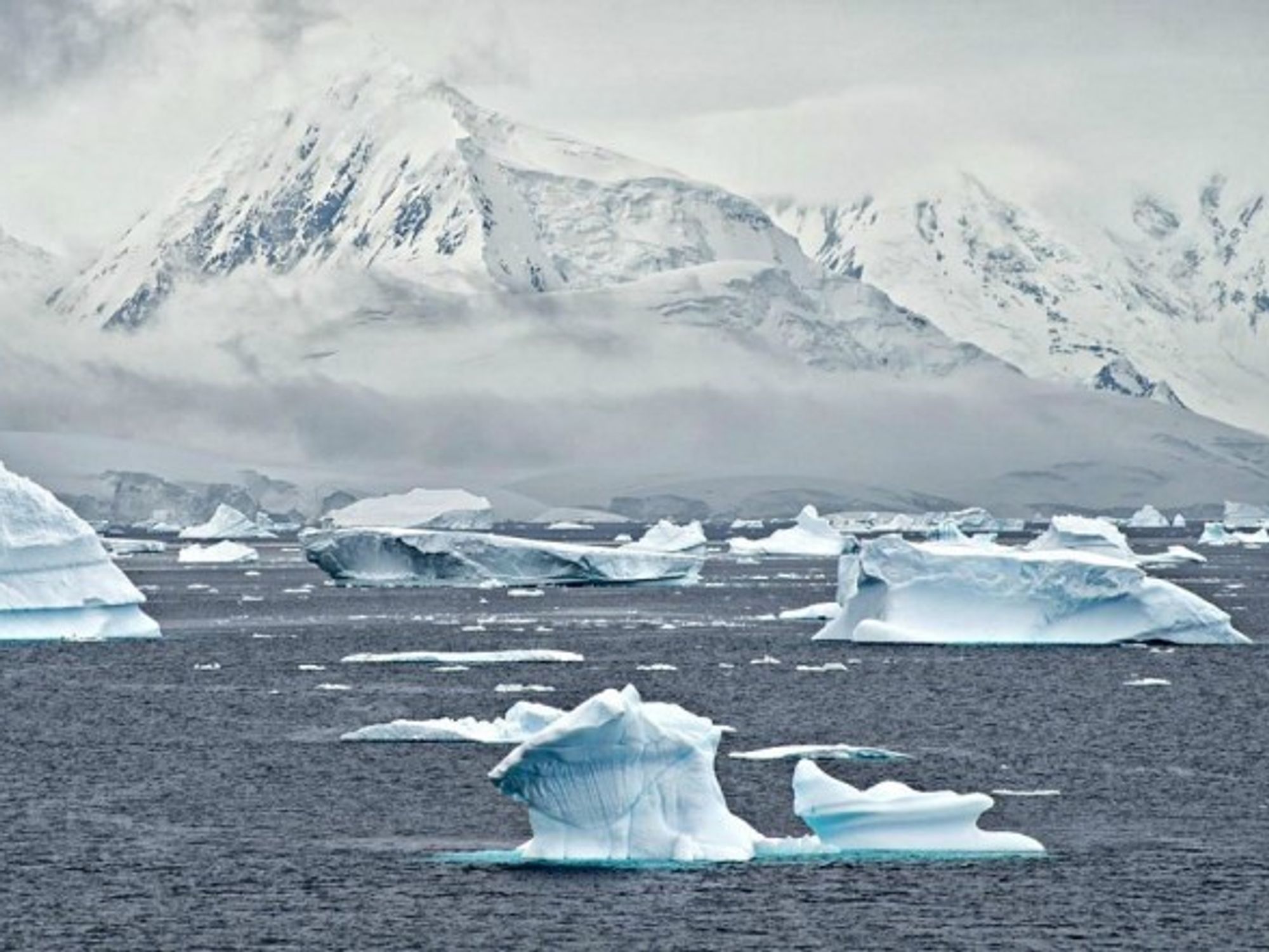 Glaciers in The Antarctica