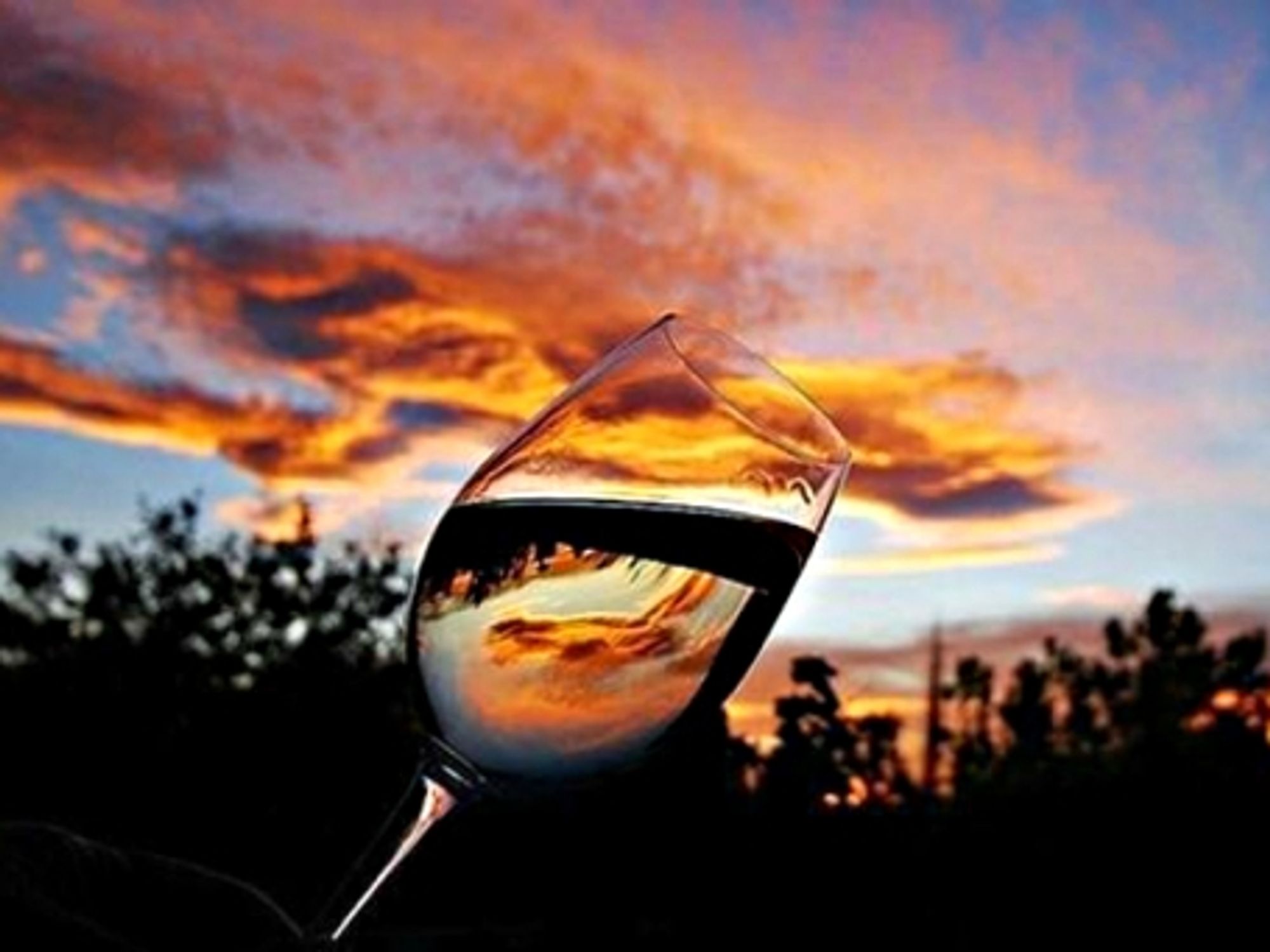 Glass of Chateau Marsyas