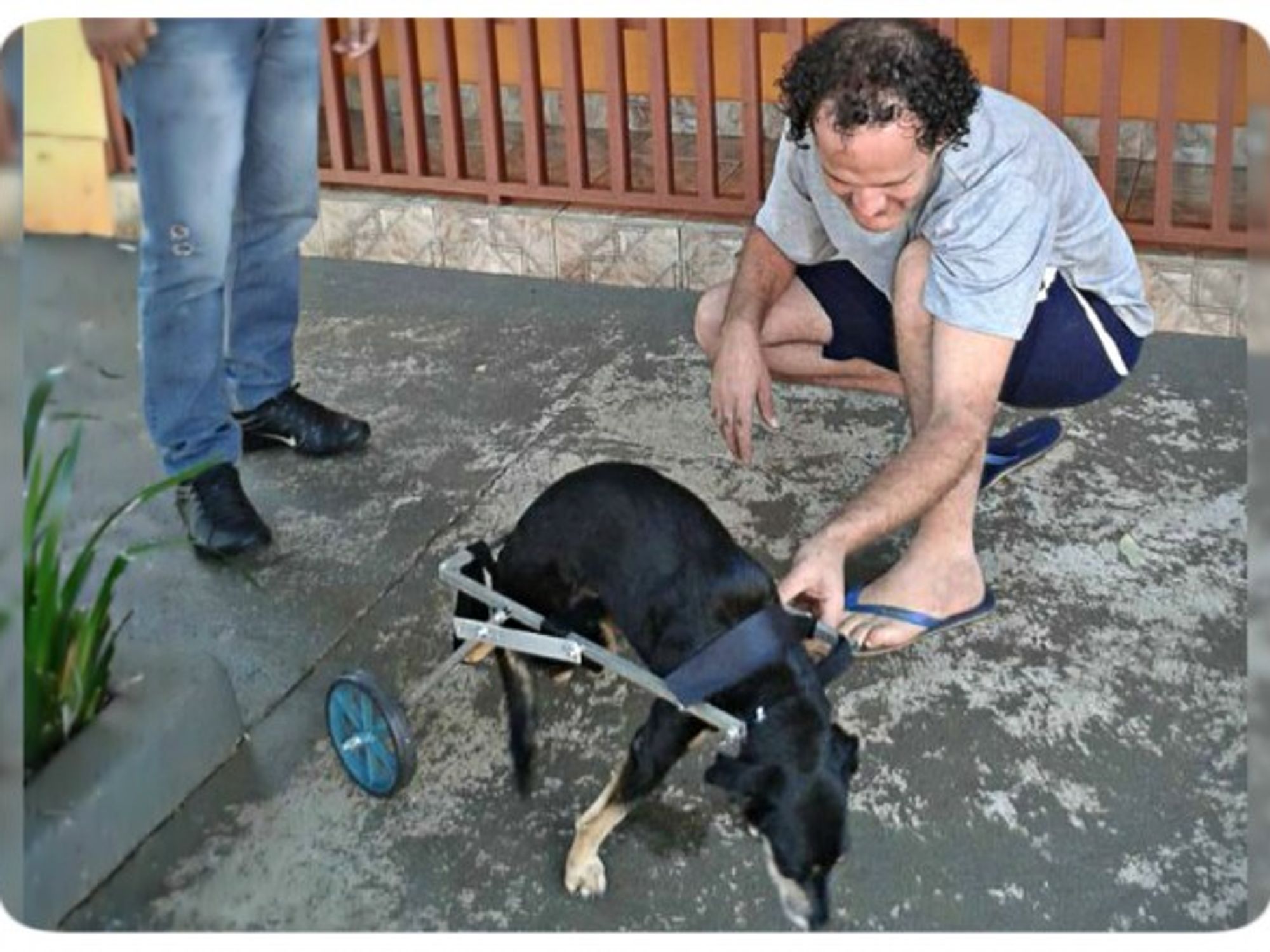 Glauber Pereira Souza and one of the dog he took care of