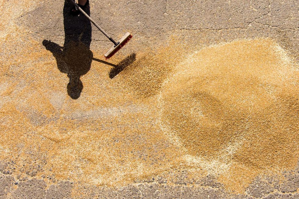 Grain harvested in the Kherson region