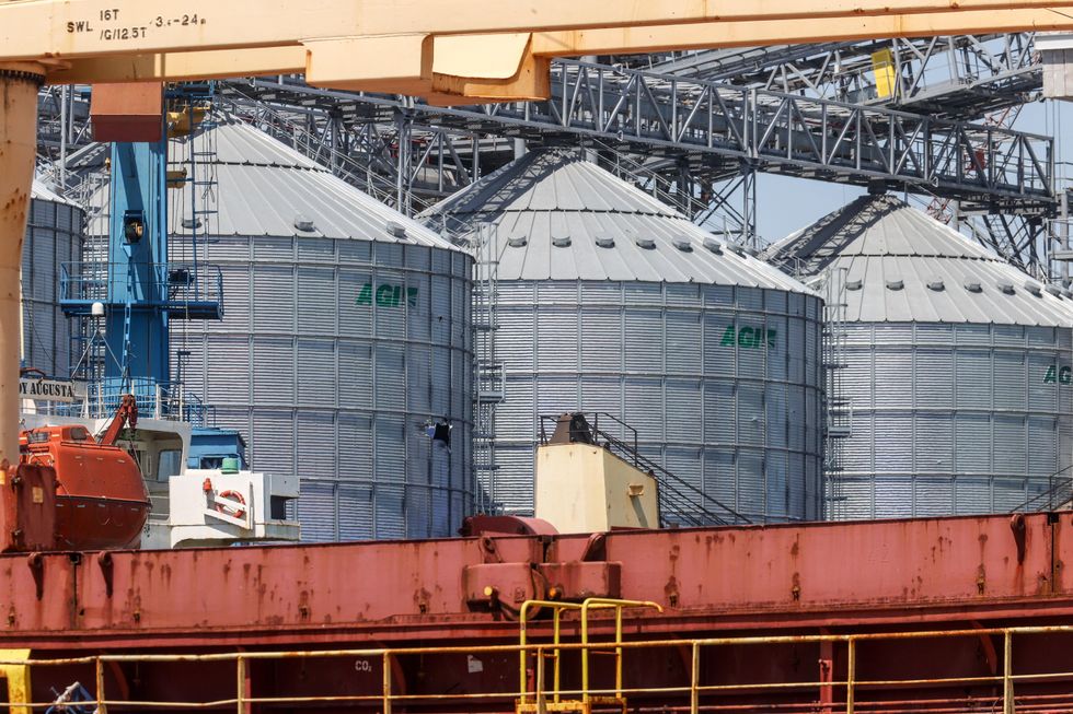 Grain storage tanks are pictured at the Mariupol commercial sea port