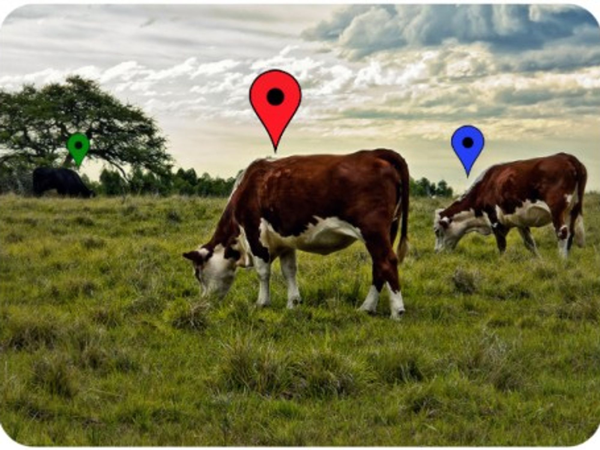 Grazing Positioning System?