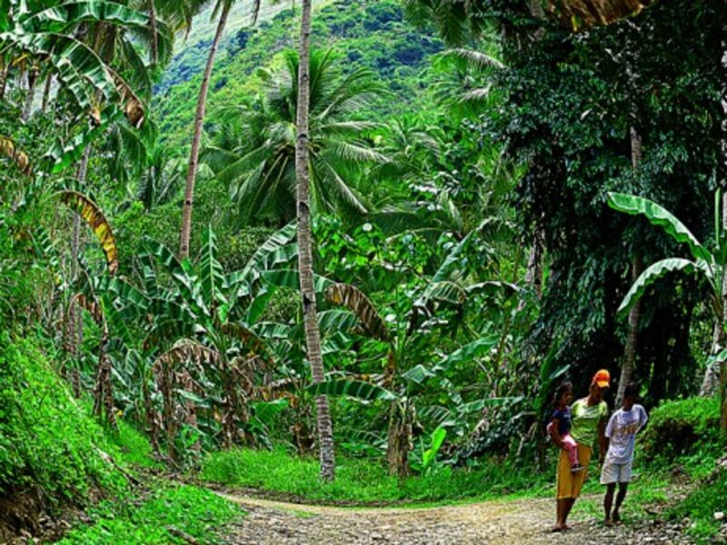 Green grows on the island of Mindanao
