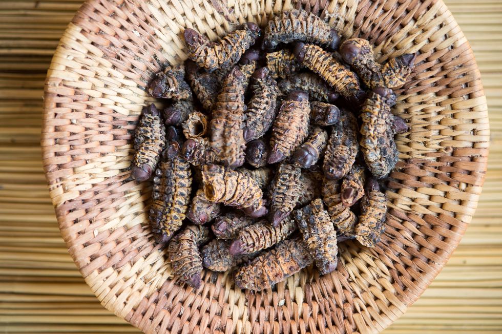 Handwoven bowl of edible mopane worms
