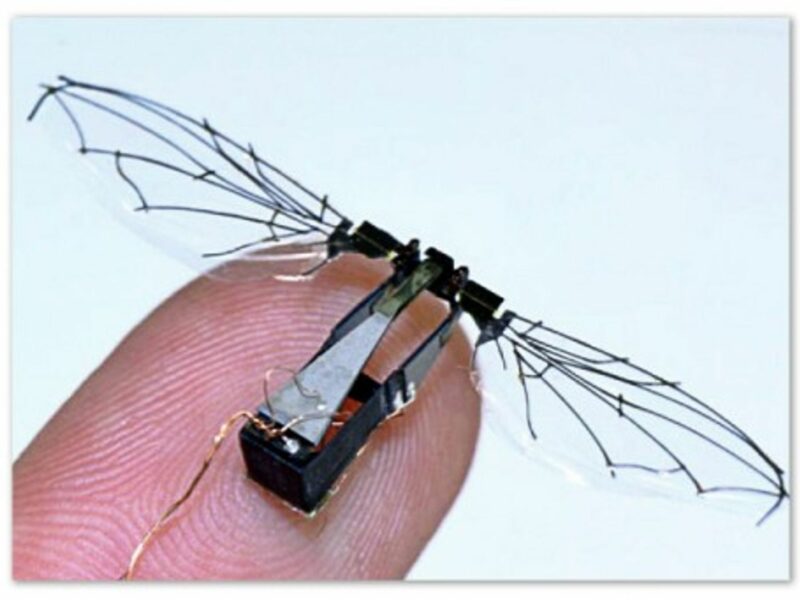 Harvard's RoboBee project