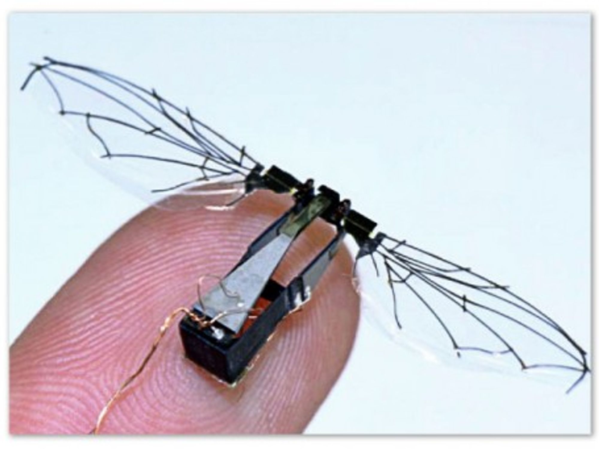 Harvard's RoboBee project