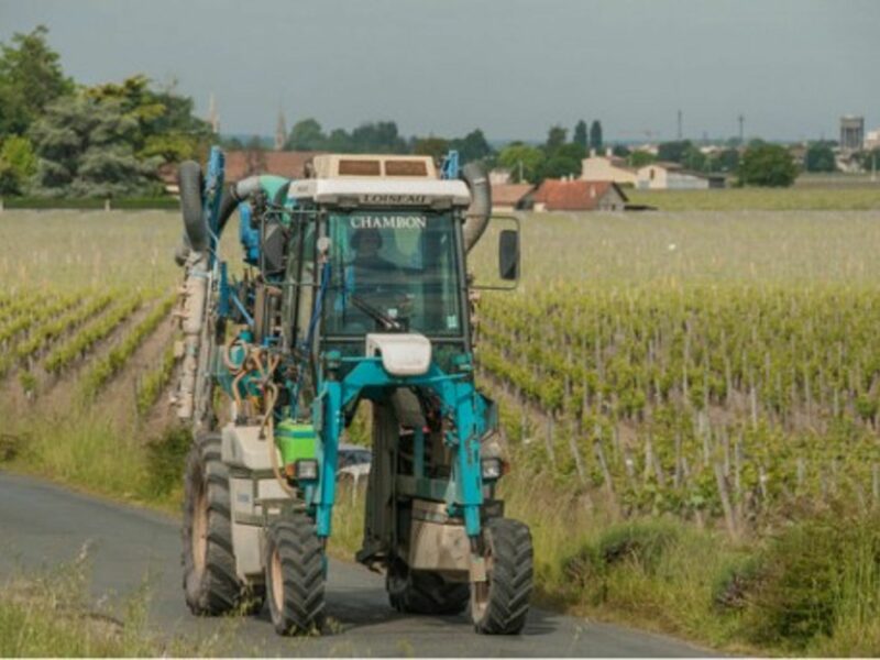 Harvesting grapes is big business in Gironde