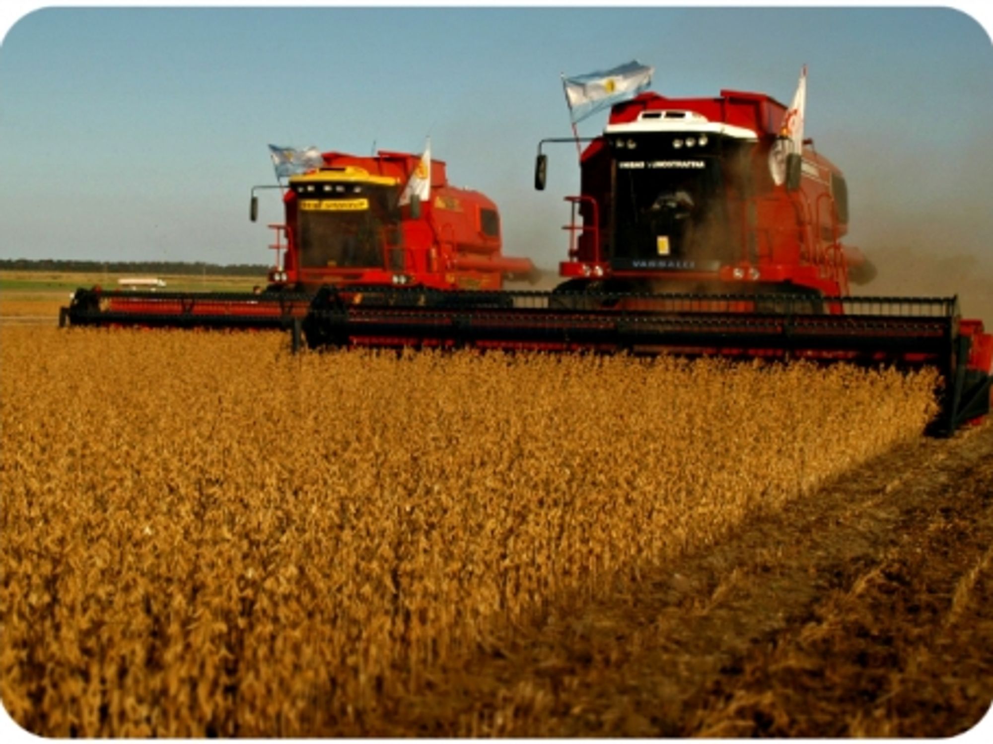 Harvesting soybeans north of Buenos Aires, Argentina
