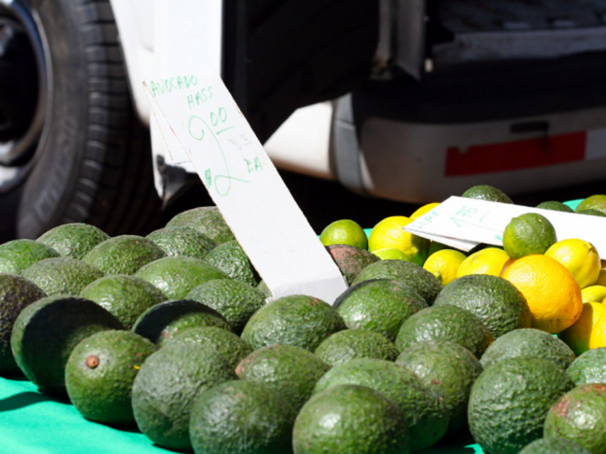 Hass Avocados for sale at a farmer's market