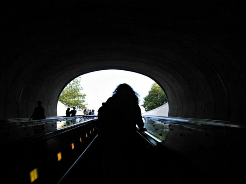 Heading up, toward the light.