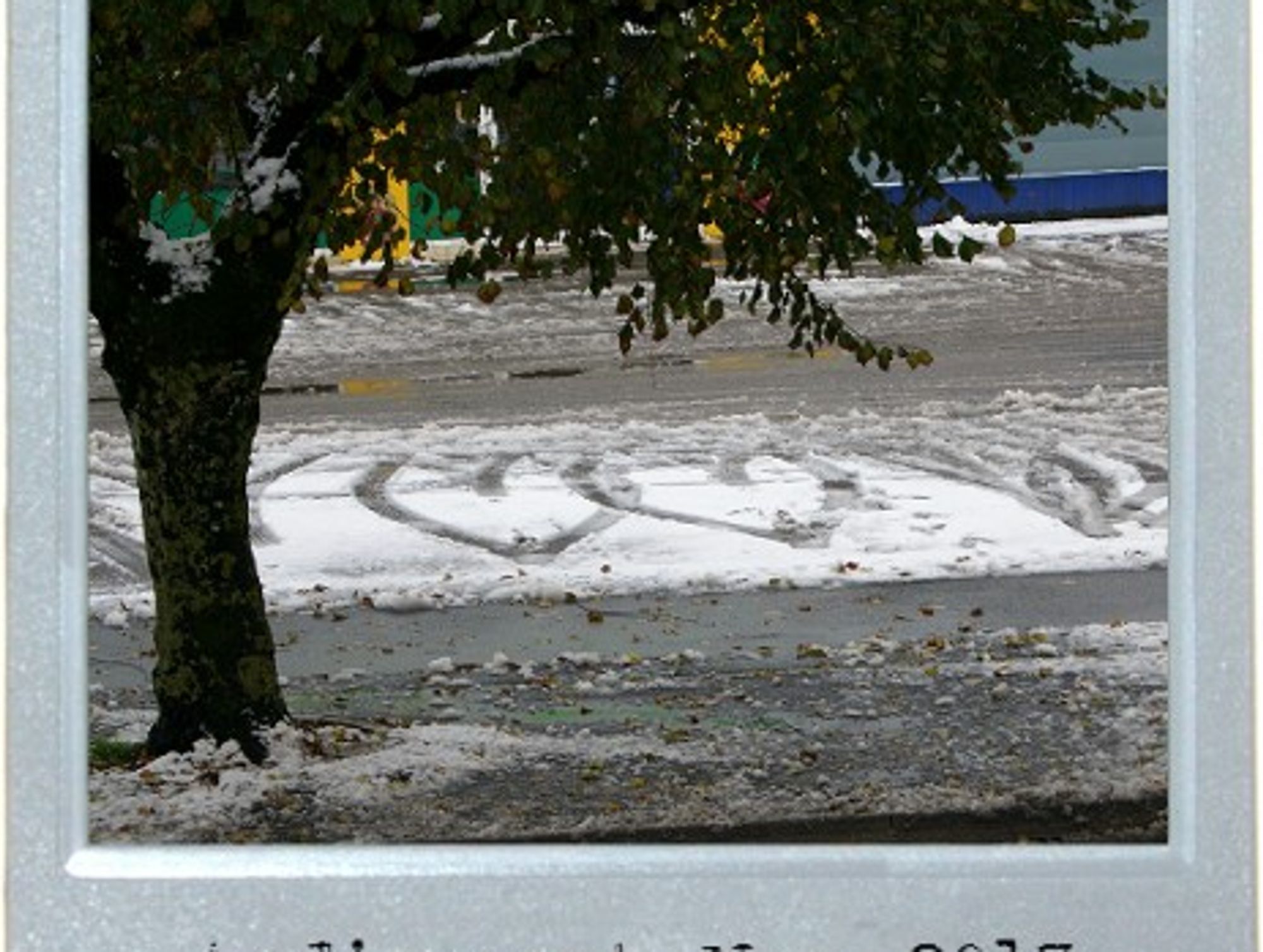 Hearts Of Snow