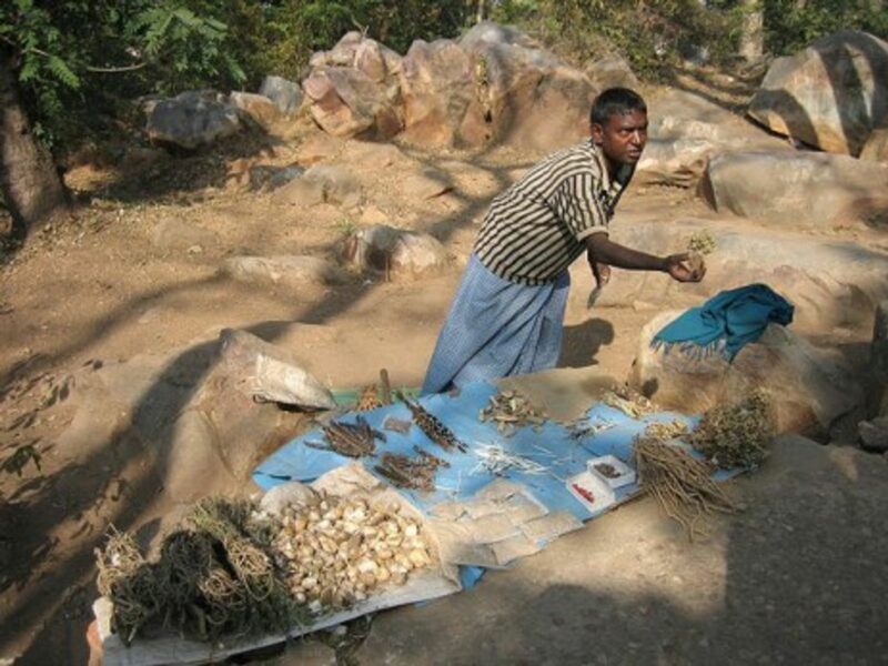 Herbal medicine vendor