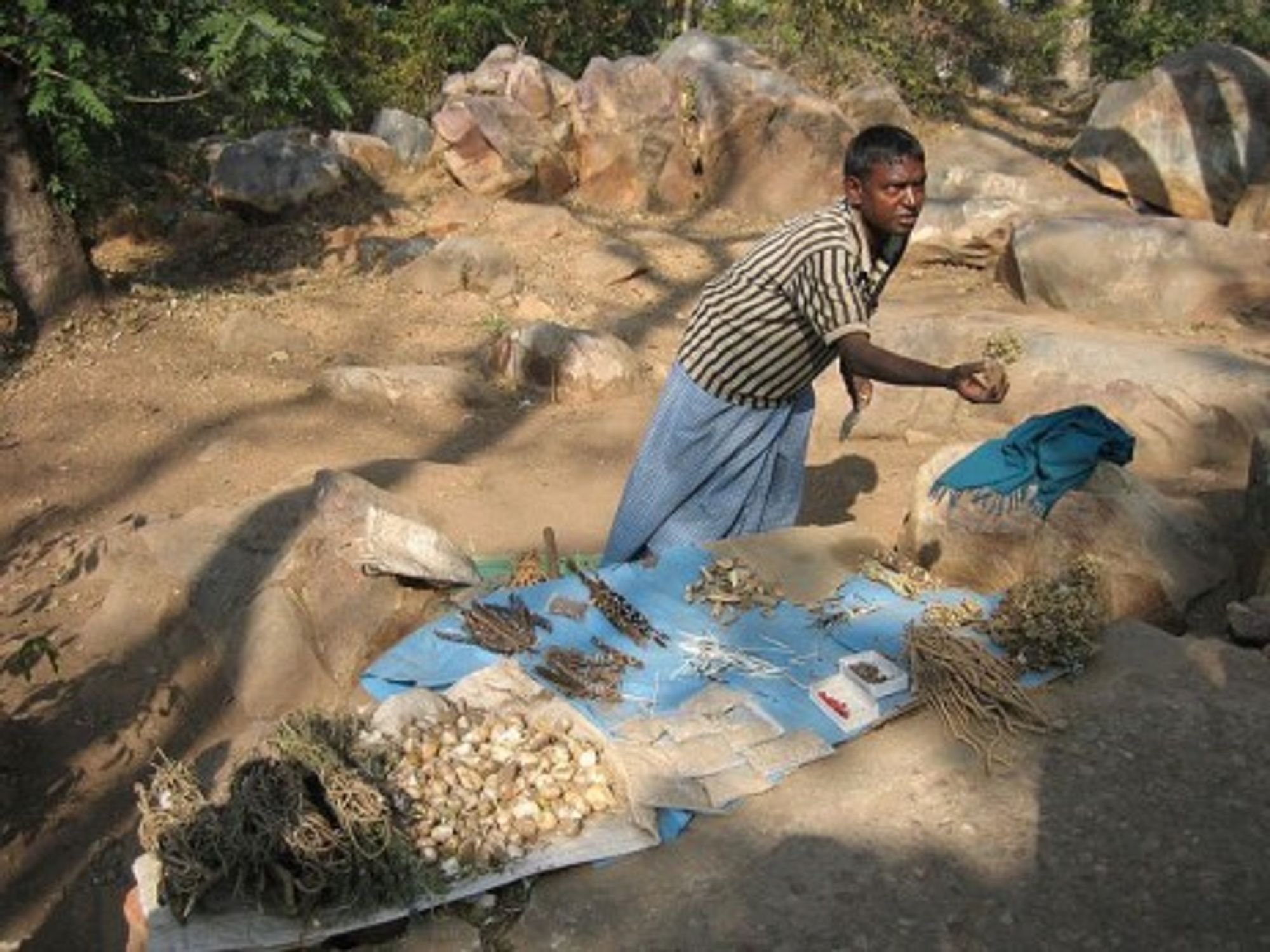 Herbal medicine vendor