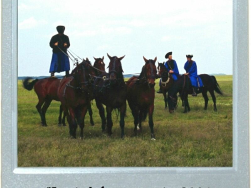 Herdsman & Stuntman