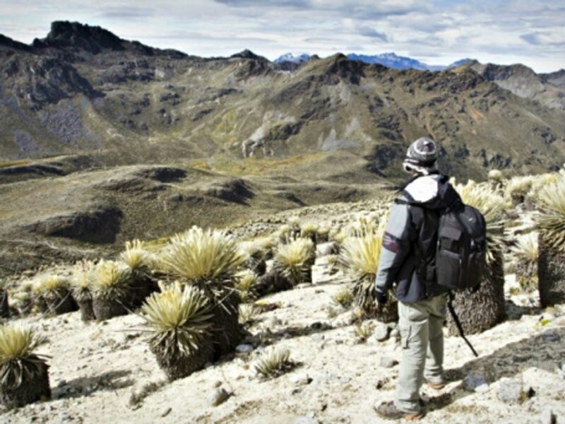 High season in Venezuela's Sierra de la Culata national park