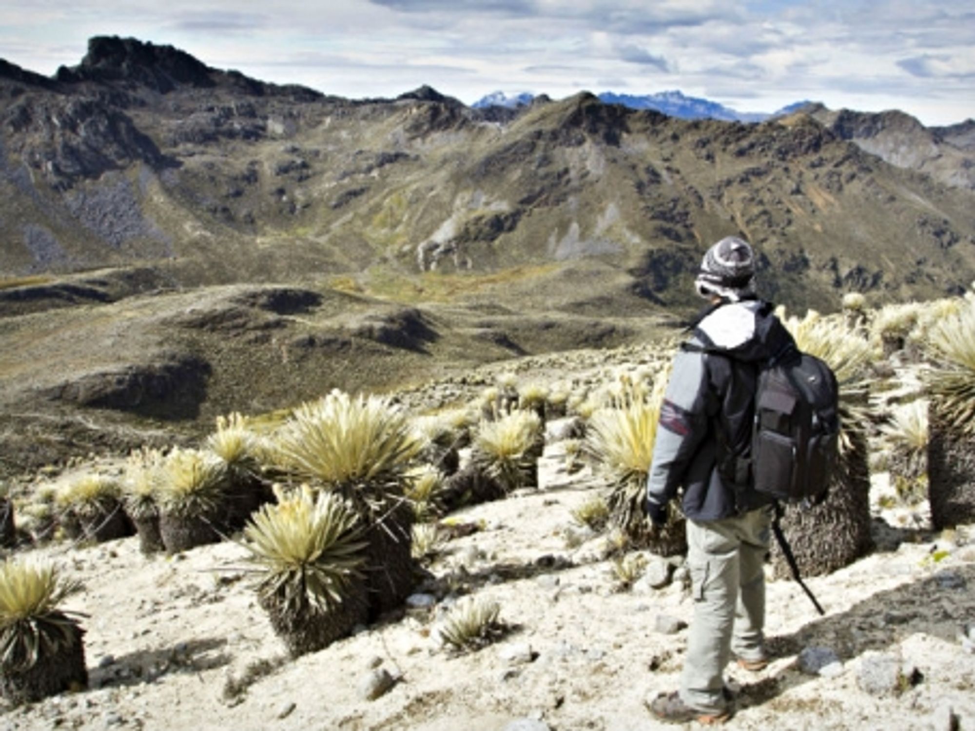 High season in Venezuela's Sierra de la Culata national park