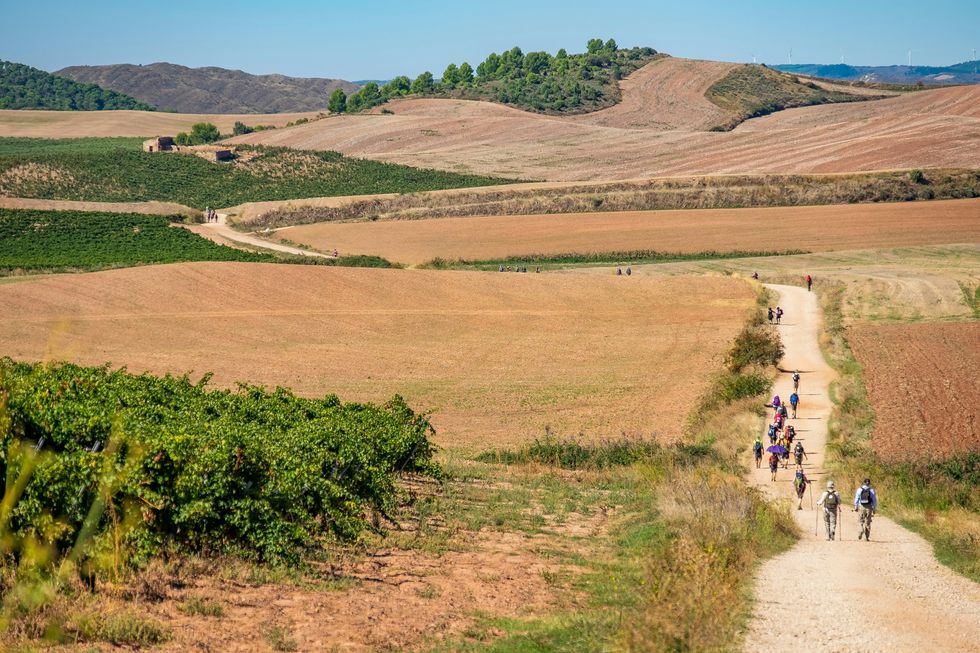 Hikers walking on the Camino trails.