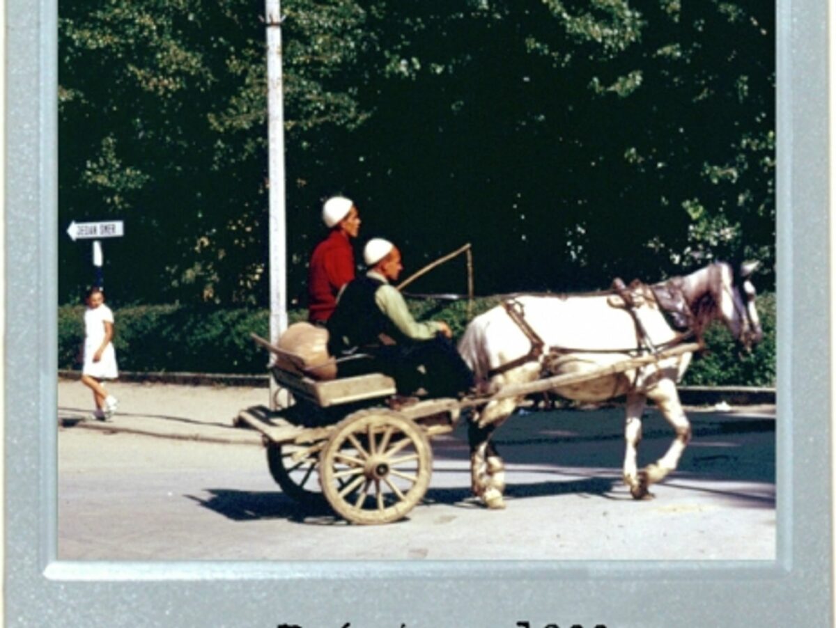 Horse-Drawn Time Machine