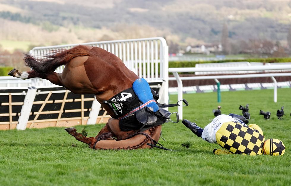 Horse racing tumble