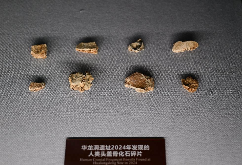 human skull fossil fragments displayed at the exhibition hall of Hualongdong site in Dongzhi County of Chizhou City, east China's Anhui Province.