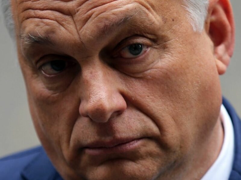 Hungarian Prime Minister Viktor Orban meets with UK Prime Minister Boris Johnson in London