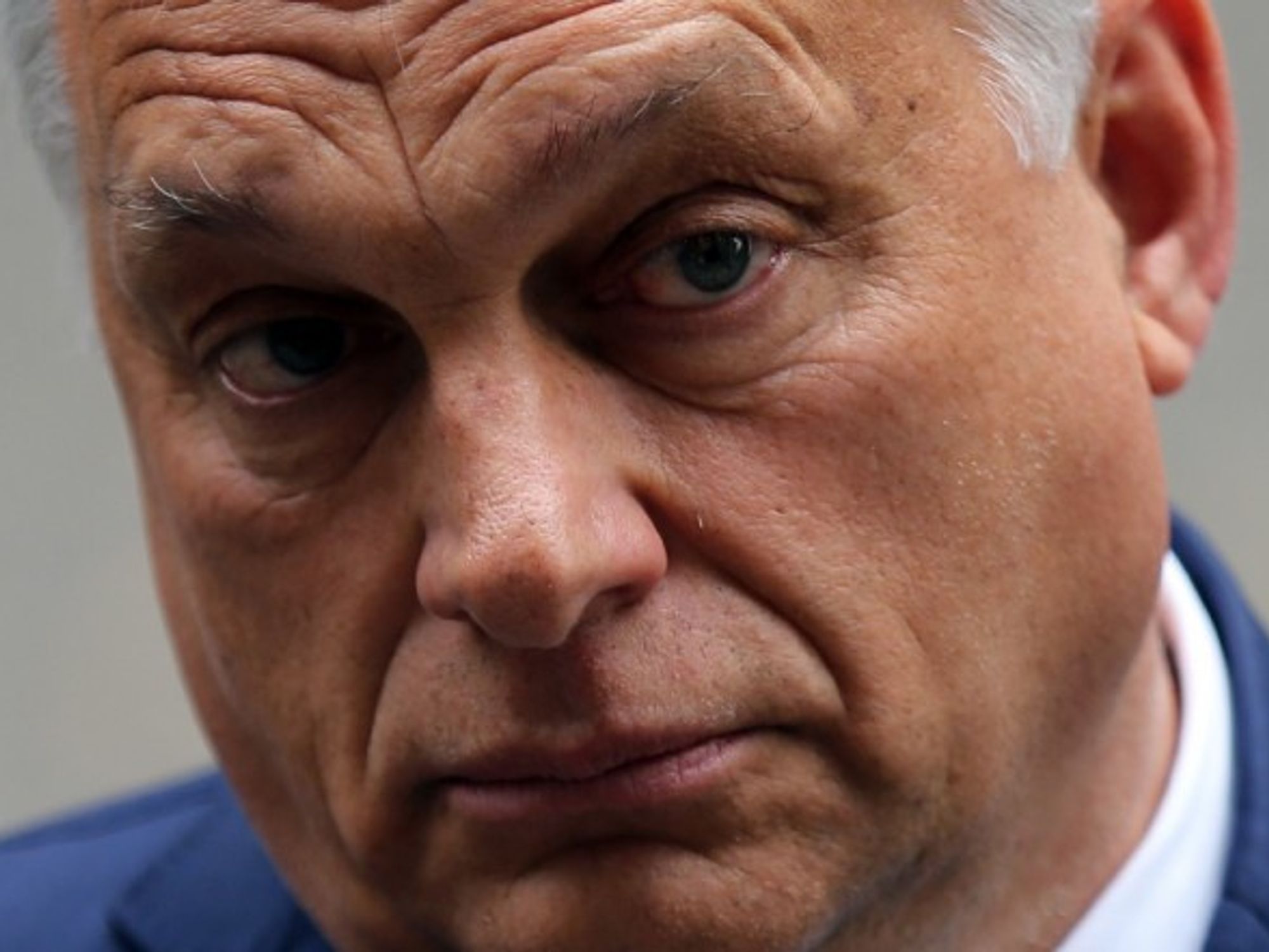Hungarian Prime Minister Viktor Orban meets with UK Prime Minister Boris Johnson in London