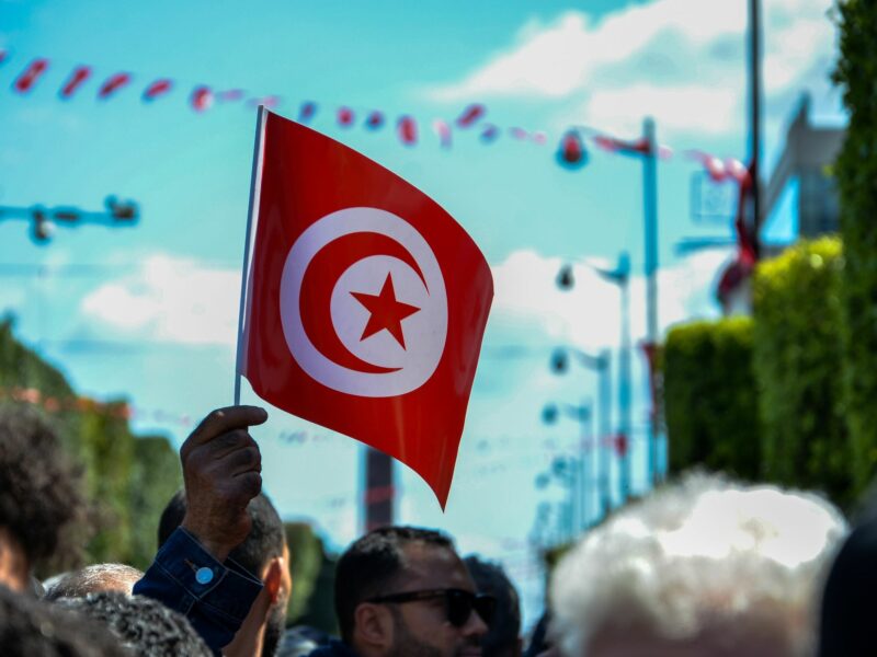 Image of a demonstrator holding a Tunisian flag