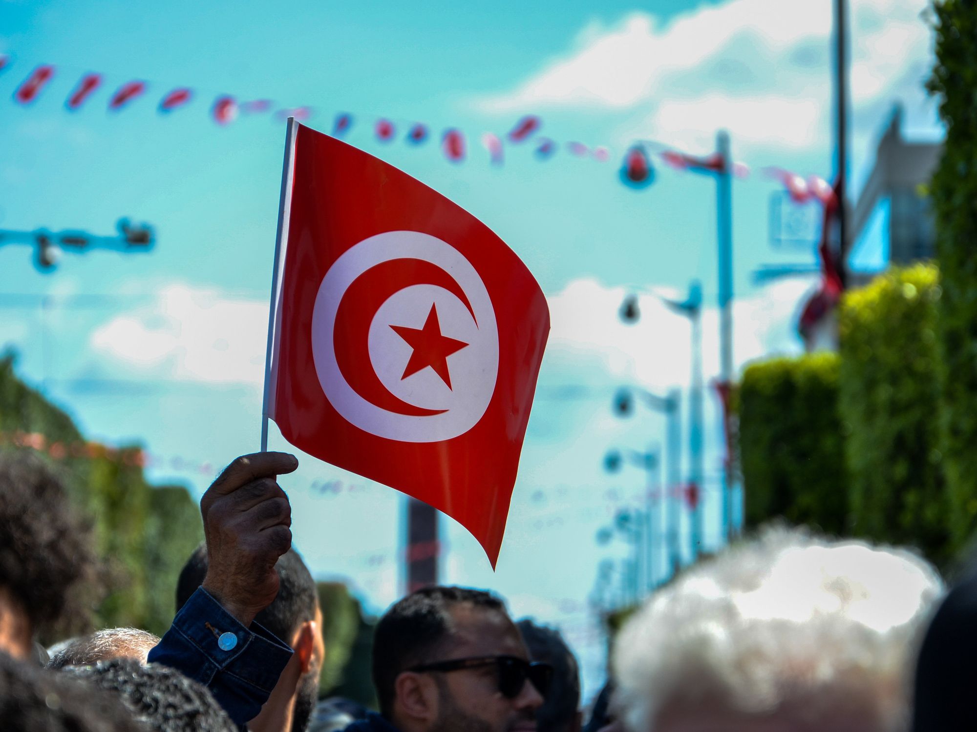 Image of a demonstrator holding a Tunisian flag