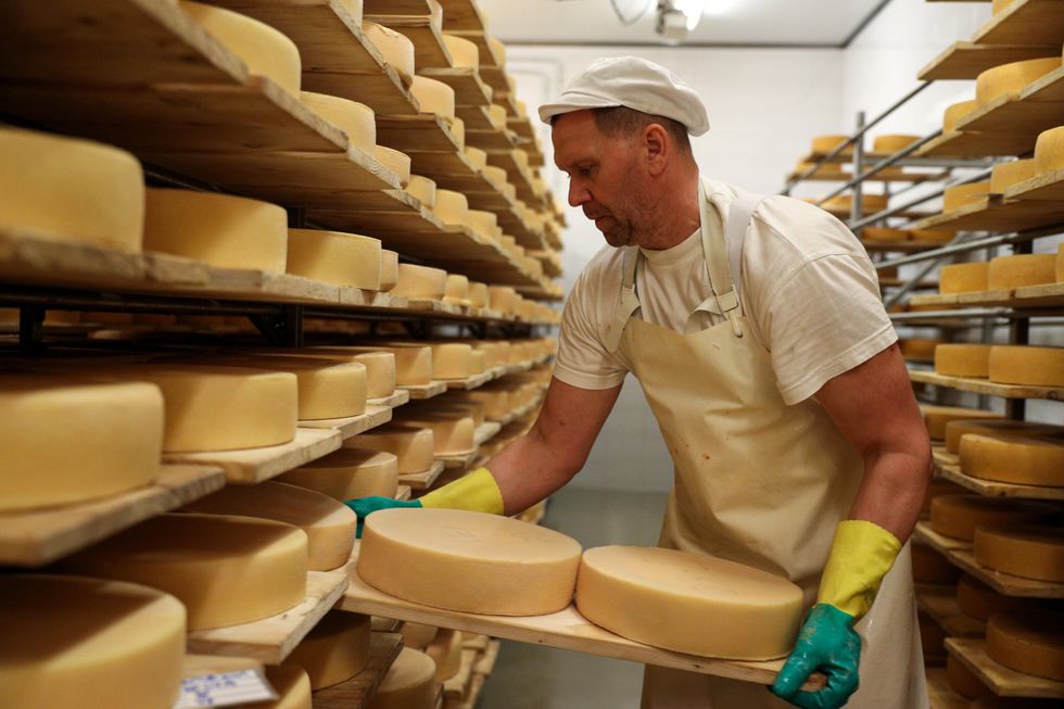 Image of a worker handling cheese wheels at a dairy