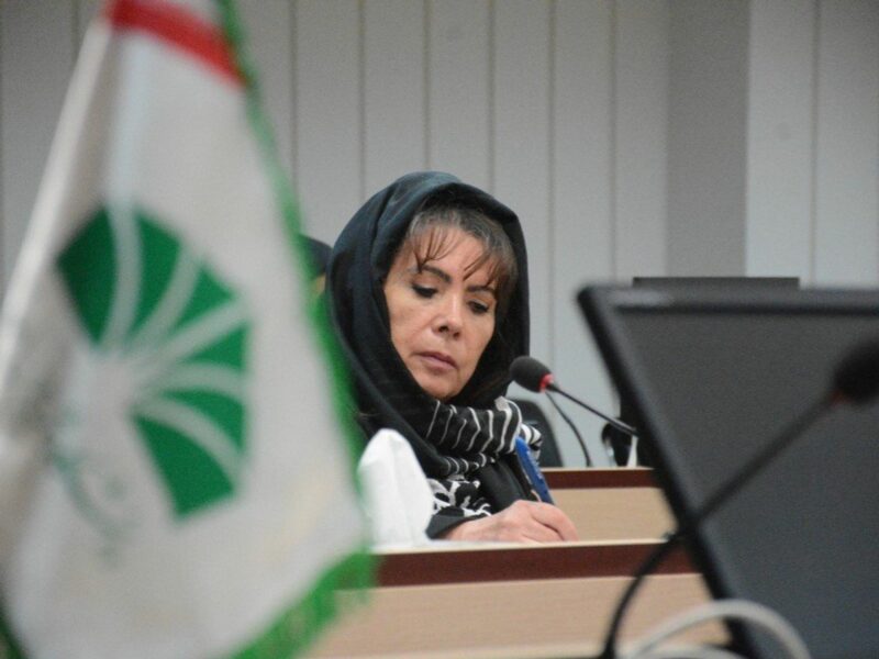 Image of Bolivia's ambassador in Tehran, Romina Pérez Ramos.