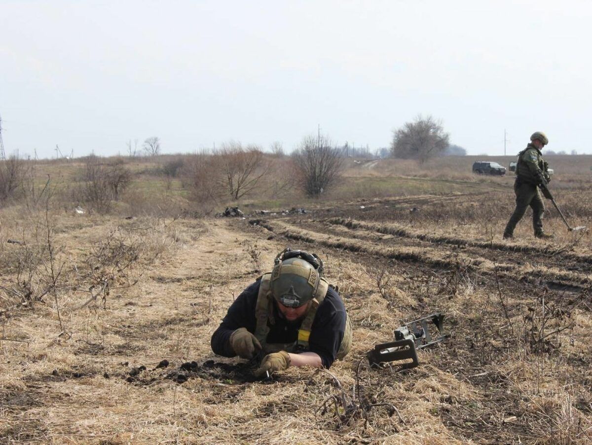 Image of two men removing mines from the ground in a field.