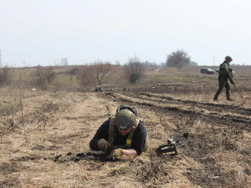 Image of two men removing mines from the ground in a field.