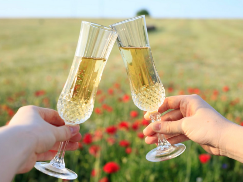 image of two people cheering sparkling wine