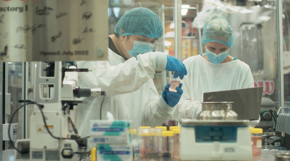 Image of two scientists in a lab.