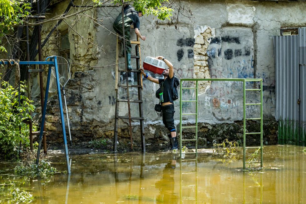 Image of volunteers rescuing animals after a flood in Kherson, Ukraine.