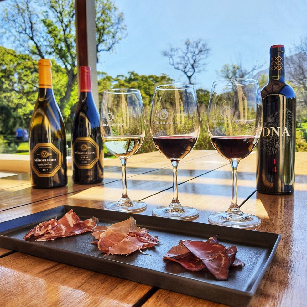 Image of wine tasting with biltong