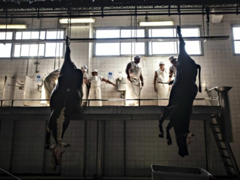 in At the Yaguane Meat Processing Plant Cooperative in Argentina.