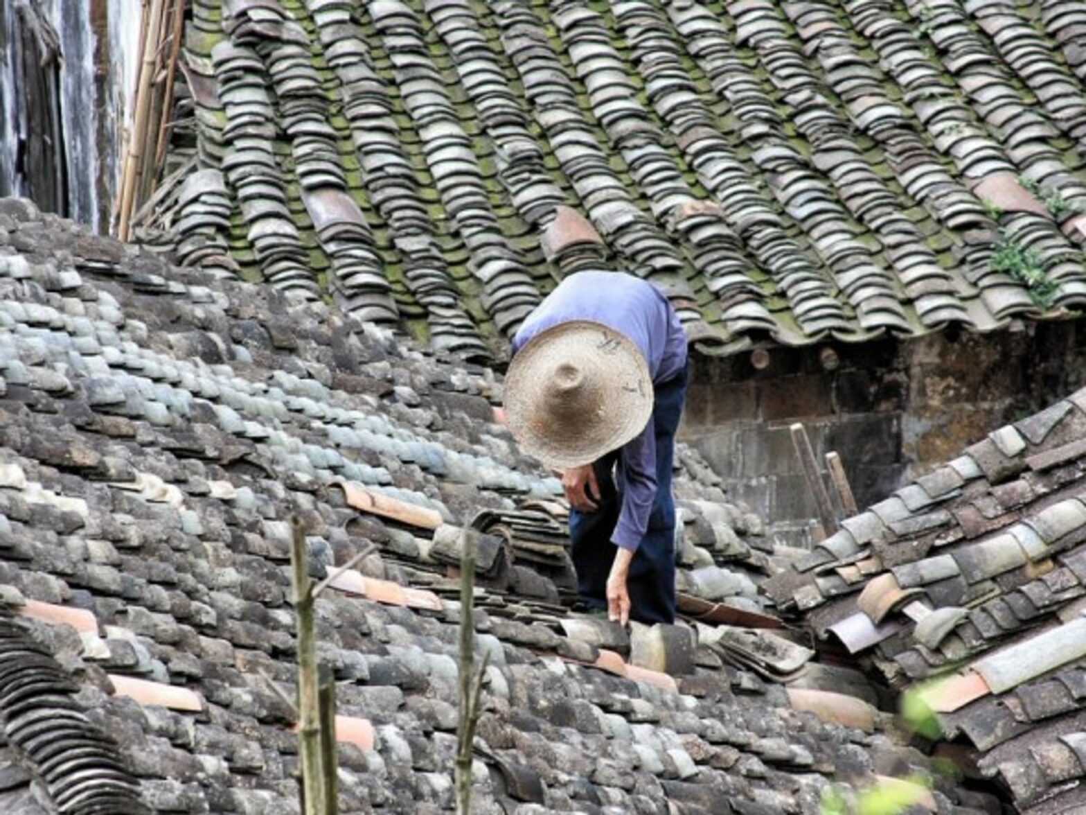 In China, economic conditions vary greatly from province to province