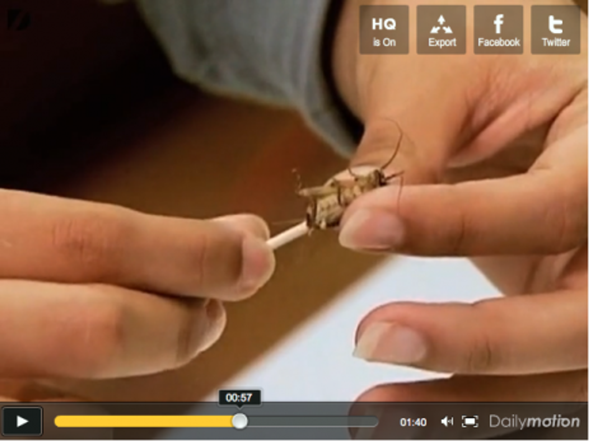 In Costa Rica, Nutritionists Push Diet Of Worms And Insects